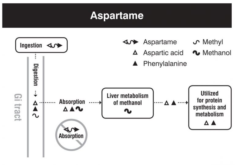 Ingestión, absorción, metabolismo y excreción del aspartamo