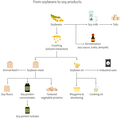 Productos y procesamiento de la soja